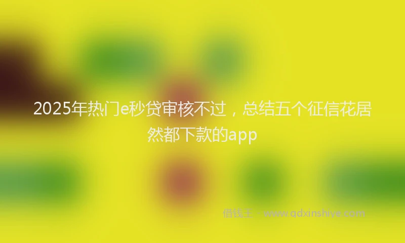 2025年热门e秒贷审核不过，总结五个征信花居然都下款的app