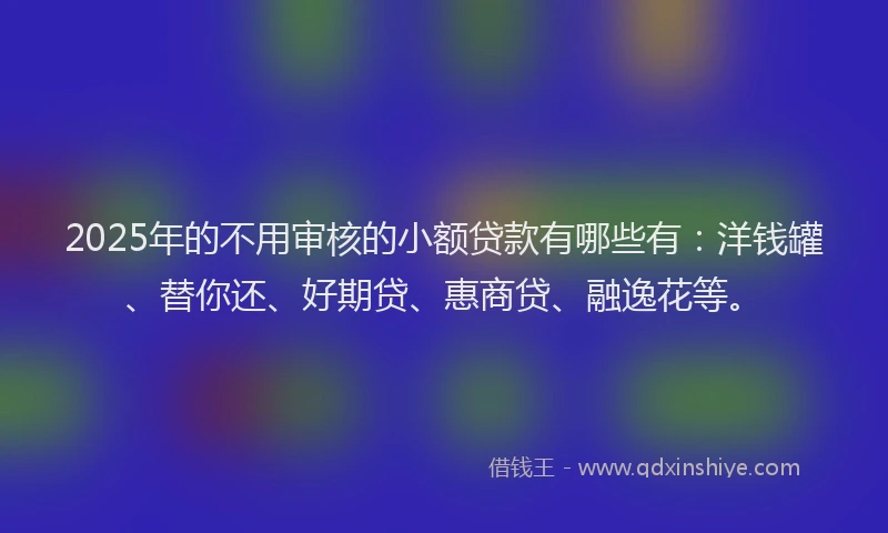 2025年的不用审核的小额贷款有哪些有：洋钱罐、替你还、好期贷、惠商贷、融逸花等。