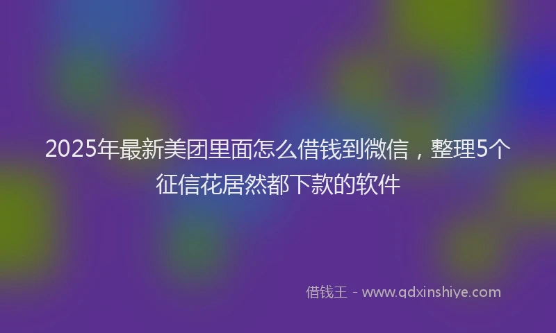 2025年最新美团里面怎么借钱到微信，整理5个征信花居然都下款的软件