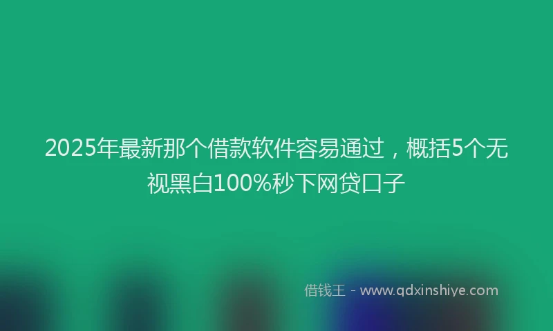 2025年最新那个借款软件容易通过，概括5个无视黑白100%秒下网贷口子