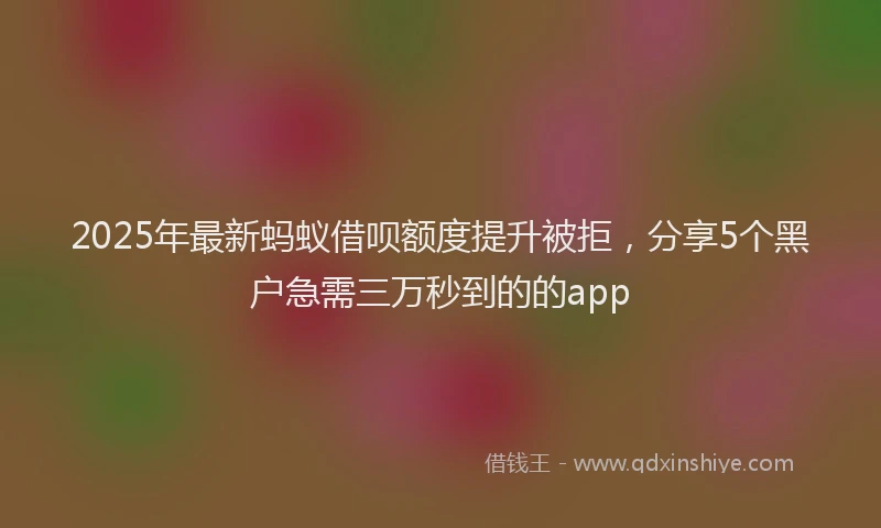 2025年最新蚂蚁借呗额度提升被拒，分享5个黑户急需三万秒到的的app