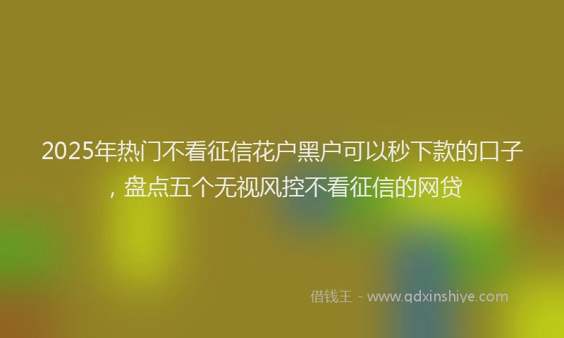 2025年热门不看征信花户黑户可以秒下款的口子，盘点五个无视风控不看征信的网贷