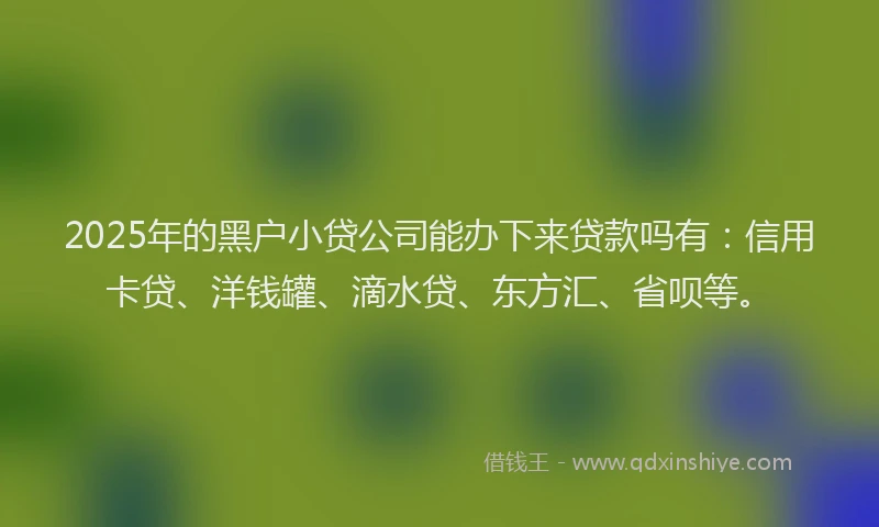 2025年的黑户小贷公司能办下来贷款吗有：信用卡贷、洋钱罐、滴水贷、东方汇、省呗等。