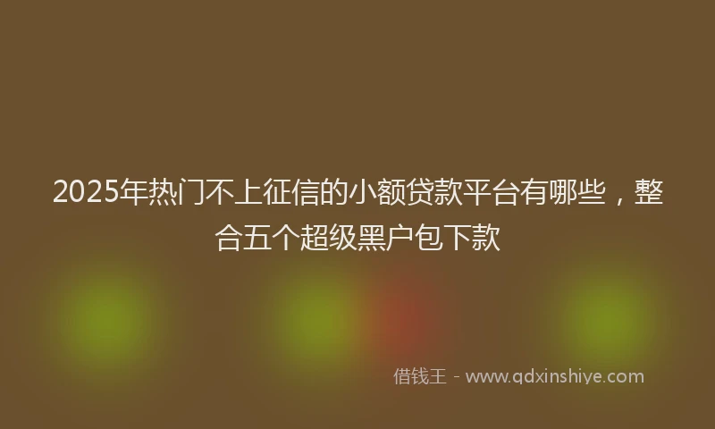 2025年热门不上征信的小额贷款平台有哪些，整合五个超级黑户包下款