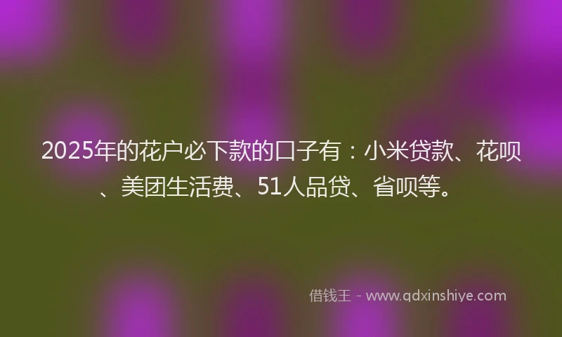 2025年的花户必下款的口子有：小米贷款、花呗、美团生活费、51人品贷、省呗等。