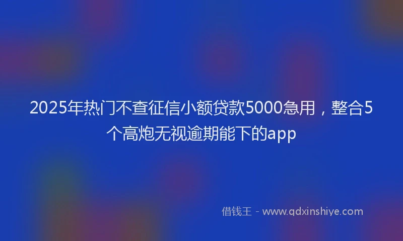 2025年热门不查征信小额贷款5000急用，整合5个高炮无视逾期能下的app
