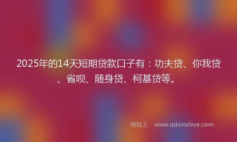 2025年的14天短期贷款口子有：功夫贷、你我贷、省呗、随身贷、柯基贷等。