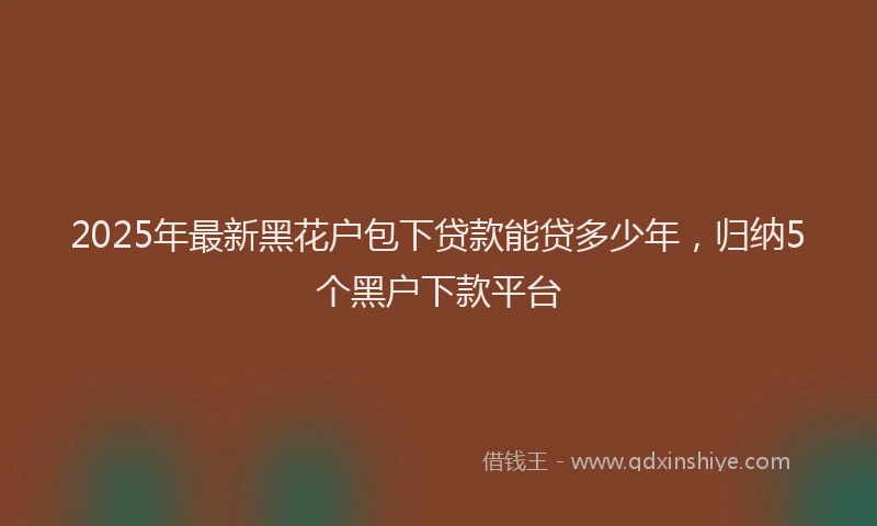 2025年最新黑花户包下贷款能贷多少年，归纳5个黑户下款平台