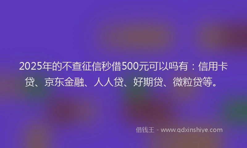 2025年的不查征信秒借500元可以吗有：信用卡贷、京东金融、人人贷、好期贷、微粒贷等。