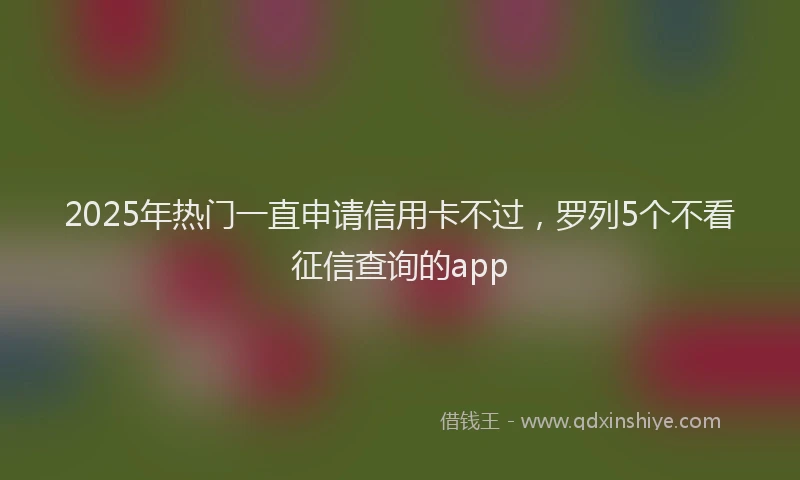 2025年热门一直申请信用卡不过，罗列5个不看征信查询的app