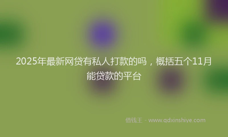 2025年最新网贷有私人打款的吗，概括五个11月能贷款的平台