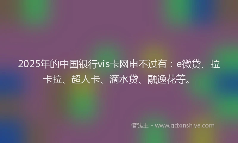 2025年的中国银行vis卡网申不过有：e微贷、拉卡拉、超人卡、滴水贷、融逸花等。