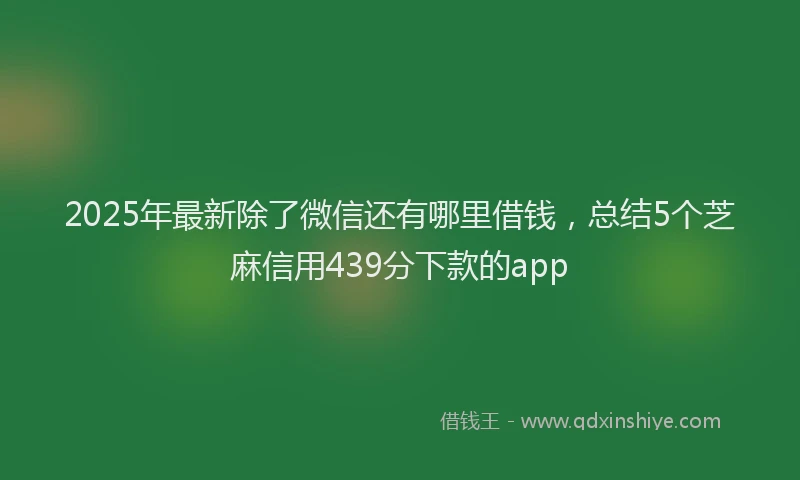 2025年最新除了微信还有哪里借钱，总结5个芝麻信用439分下款的app