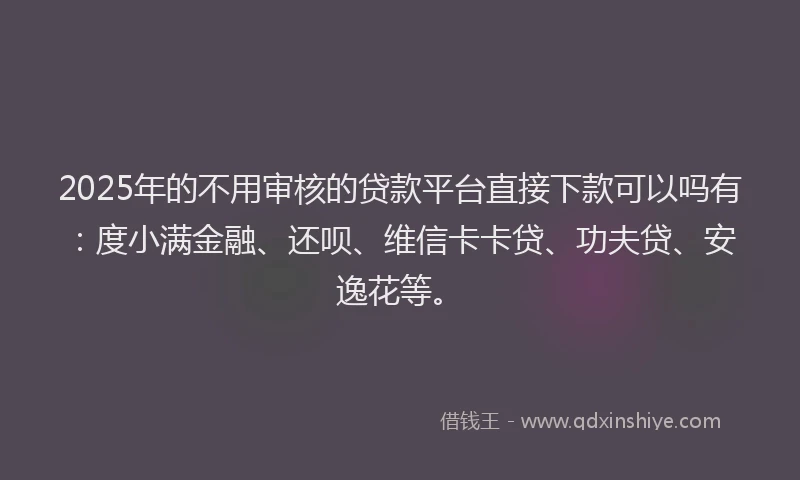 2025年的不用审核的贷款平台直接下款可以吗有：度小满金融、还呗、维信卡卡贷、功夫贷、安逸花等。