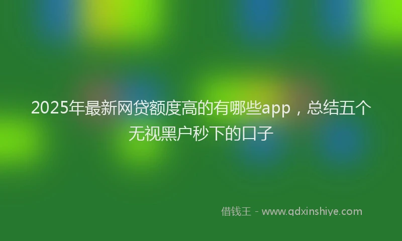 2025年最新网贷额度高的有哪些app，总结五个无视黑户秒下的口子
