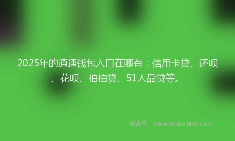 2025年的通通钱包入口在哪有：信用卡贷、还呗、花呗、拍拍贷、51人品贷等。