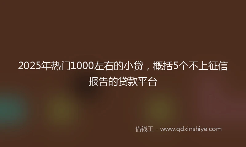 2025年热门1000左右的小贷，概括5个不上征信报告的贷款平台