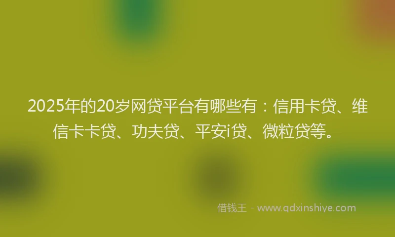 2025年的20岁网贷平台有哪些有：信用卡贷、维信卡卡贷、功夫贷、平安i贷、微粒贷等。