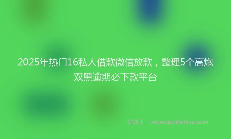 2025年热门16私人借款微信放款，整理5个高炮双黑逾期必下款平台