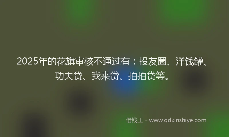 2025年的花旗审核不通过有：投友圈、洋钱罐、功夫贷、我来贷、拍拍贷等。