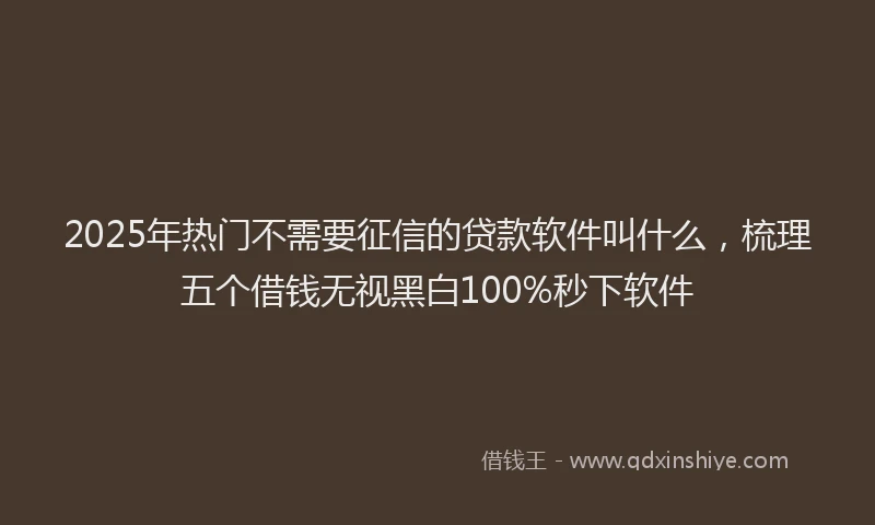 2025年热门不需要征信的贷款软件叫什么，梳理五个借钱无视黑白100%秒下软件