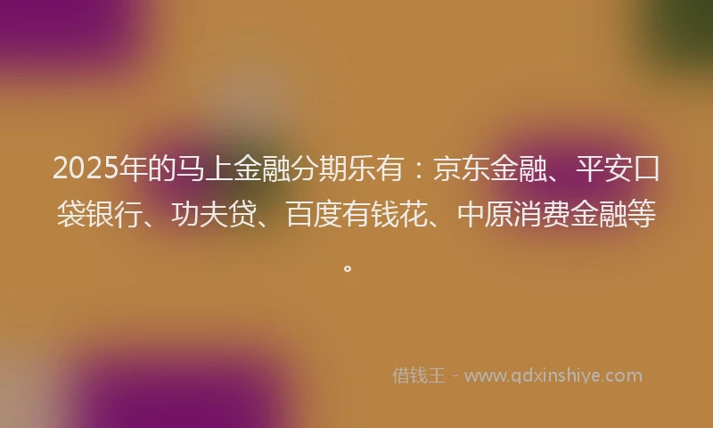 2025年的马上金融分期乐有：京东金融、平安口袋银行、功夫贷、百度有钱花、中原消费金融等。
