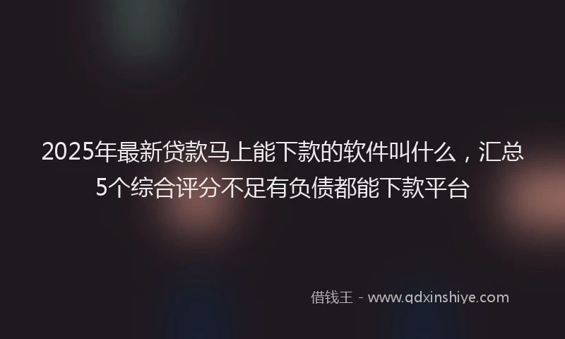 2025年最新贷款马上能下款的软件叫什么，汇总5个综合评分不足有负债都能下款平台