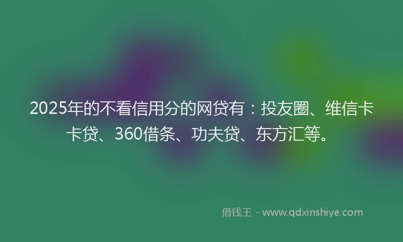 2025年的不看信用分的网贷有：投友圈、维信卡卡贷、360借条、功夫贷、东方汇等。