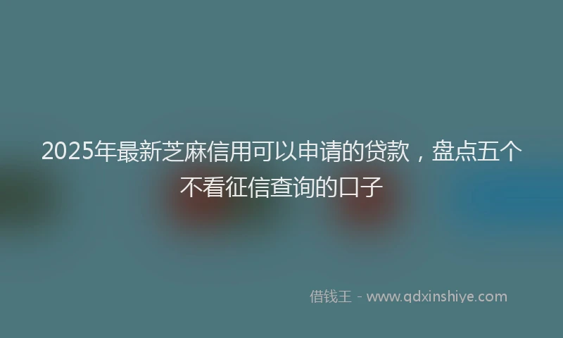 2025年最新芝麻信用可以申请的贷款，盘点五个不看征信查询的口子