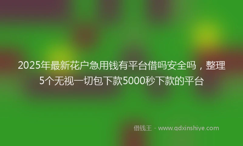 2025年最新花户急用钱有平台借吗安全吗，整理5个无视一切包下款5000秒下款的平台