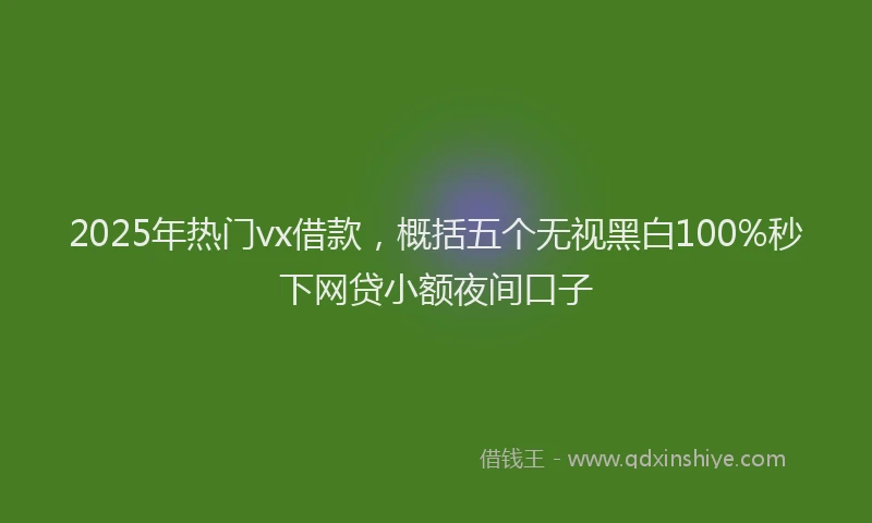 2025年热门vx借款，概括五个无视黑白100%秒下网贷小额夜间口子