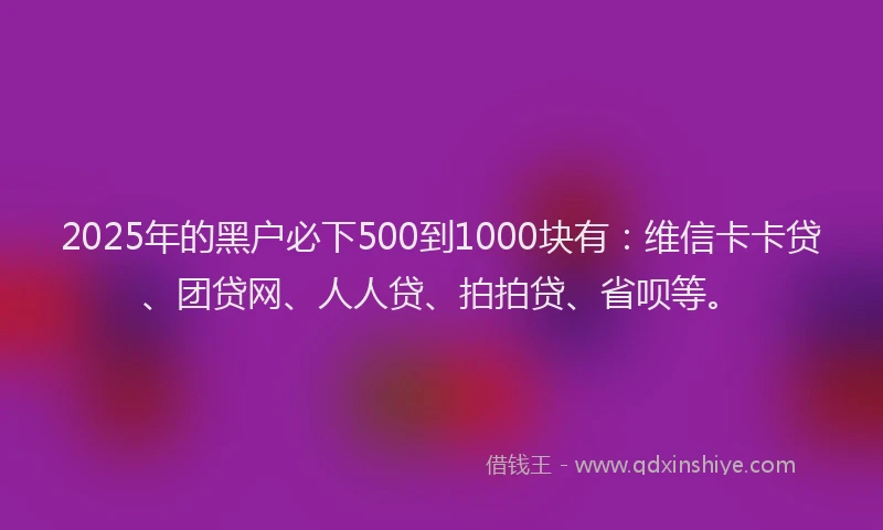 2025年的黑户必下500到1000块有：维信卡卡贷、团贷网、人人贷、拍拍贷、省呗等。
