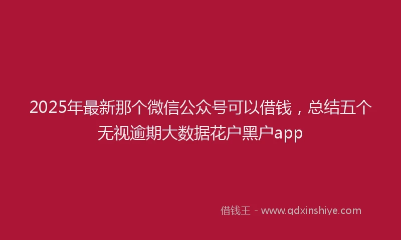 2025年最新那个微信公众号可以借钱，总结五个无视逾期大数据花户黑户app