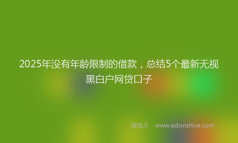 2025年没有年龄限制的借款，总结5个最新无视黑白户网贷口子