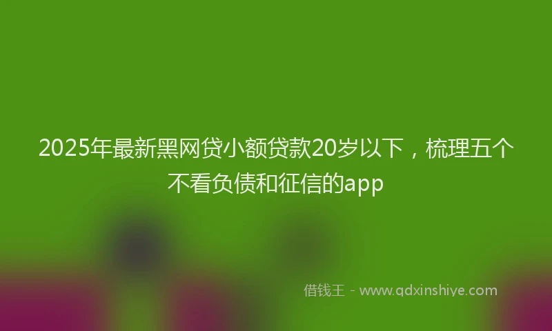 2025年最新黑网贷小额贷款20岁以下，梳理五个不看负债和征信的app