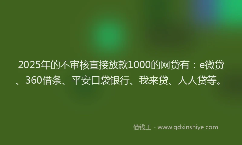 2025年的不审核直接放款1000的网贷有：e微贷、360借条、平安口袋银行、我来贷、人人贷等。