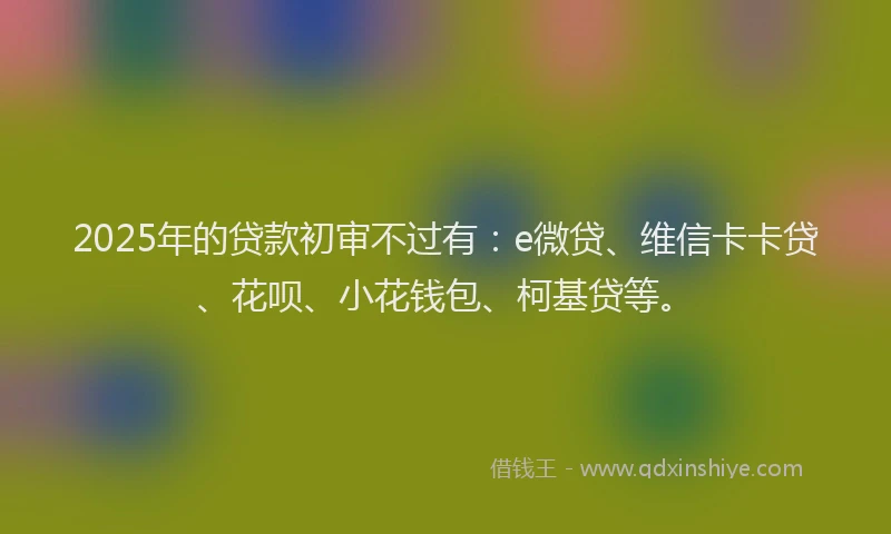 2025年的贷款初审不过有：e微贷、维信卡卡贷、花呗、小花钱包、柯基贷等。