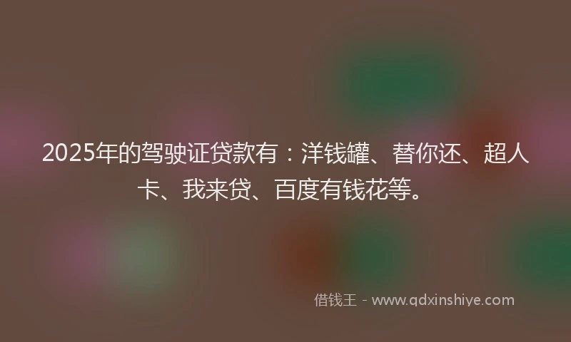 2025年的驾驶证贷款有：洋钱罐、替你还、超人卡、我来贷、百度有钱花等。