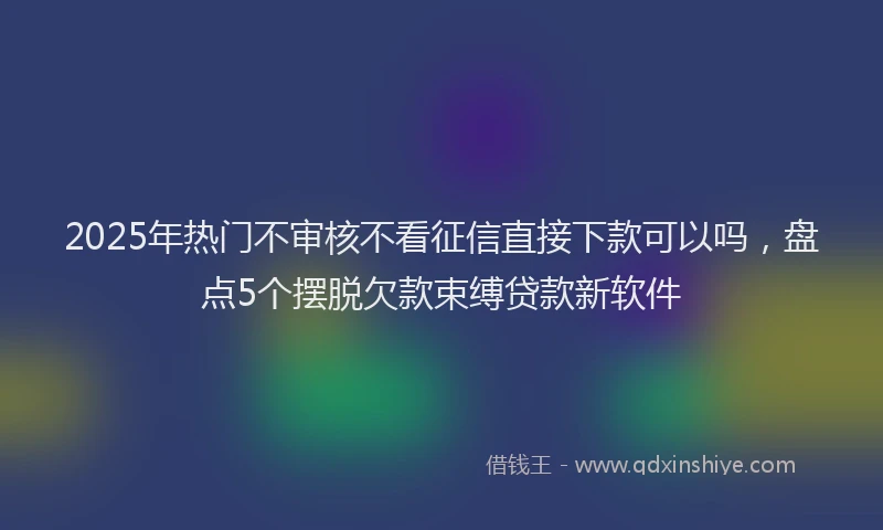 2025年热门不审核不看征信直接下款可以吗，盘点5个摆脱欠款束缚贷款新软件