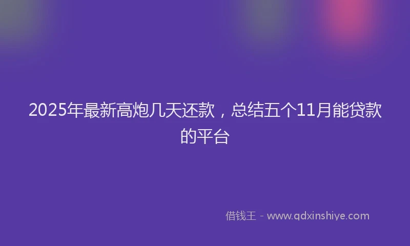 2025年最新高炮几天还款，总结五个11月能贷款的平台