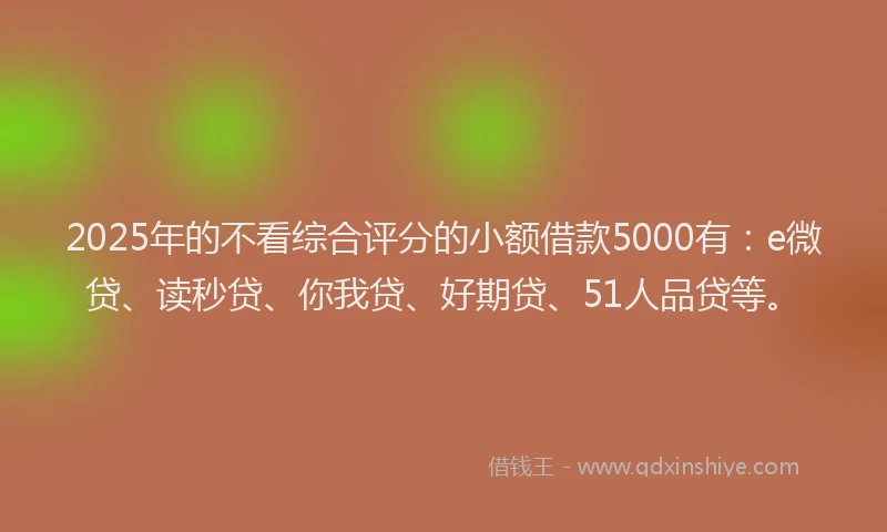 2025年的不看综合评分的小额借款5000有：e微贷、读秒贷、你我贷、好期贷、51人品贷等。