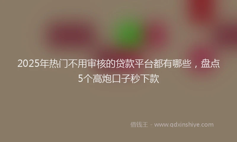 2025年热门不用审核的贷款平台都有哪些，盘点5个高炮口子秒下款
