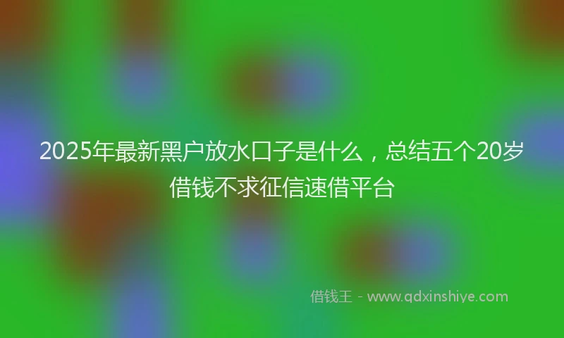 2025年最新黑户放水口子是什么，总结五个20岁借钱不求征信速借平台