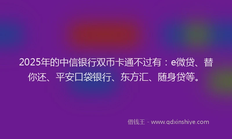 2025年的中信银行双币卡通不过有：e微贷、替你还、平安口袋银行、东方汇、随身贷等。