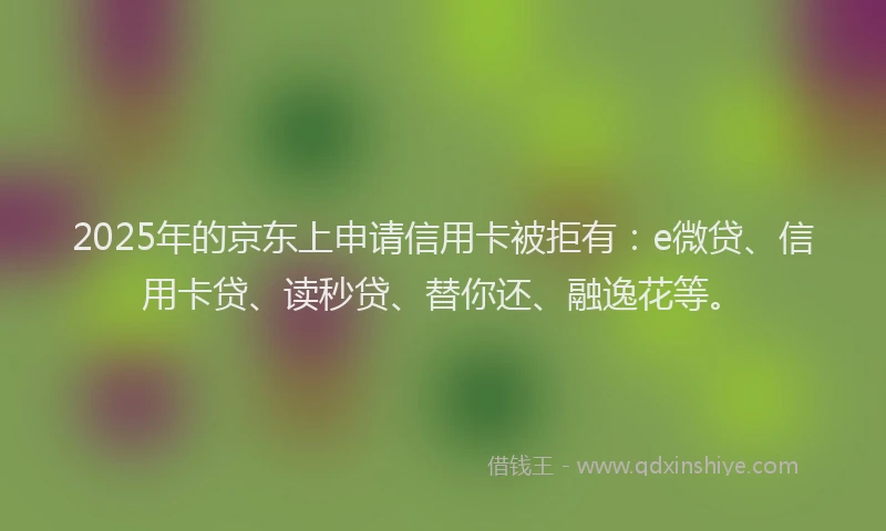 2025年的京东上申请信用卡被拒有：e微贷、信用卡贷、读秒贷、替你还、融逸花等。