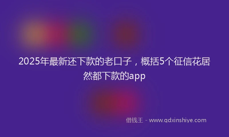 2025年最新还下款的老口子，概括5个征信花居然都下款的app
