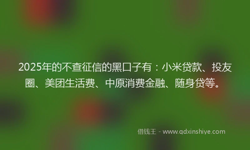 2025年的不查征信的黑口子有：小米贷款、投友圈、美团生活费、中原消费金融、随身贷等。