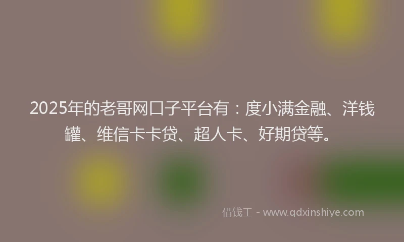 2025年的老哥网口子平台有：度小满金融、洋钱罐、维信卡卡贷、超人卡、好期贷等。