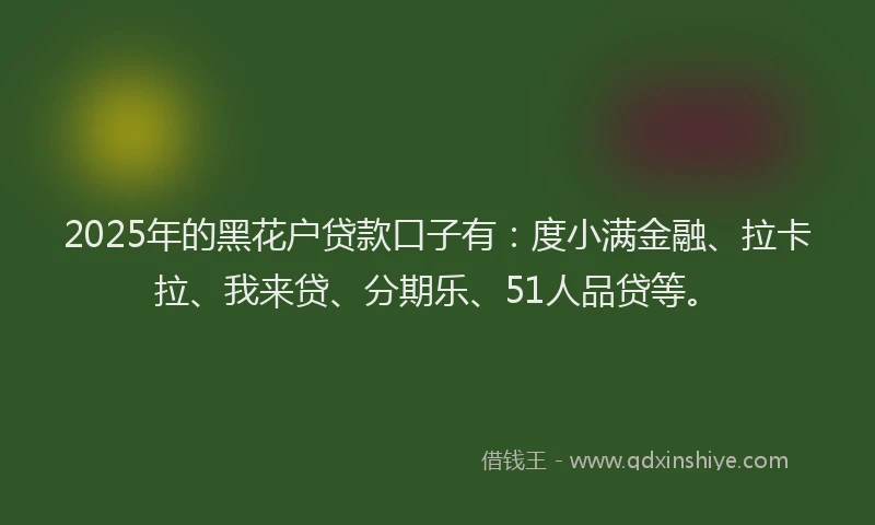 2025年的黑花户贷款口子有：度小满金融、拉卡拉、我来贷、分期乐、51人品贷等。