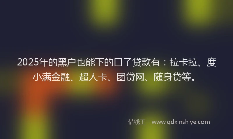 2025年的黑户也能下的口子贷款有：拉卡拉、度小满金融、超人卡、团贷网、随身贷等。